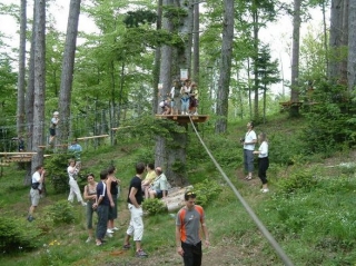  在圣艾蒂安杜布瓦的树上停车 